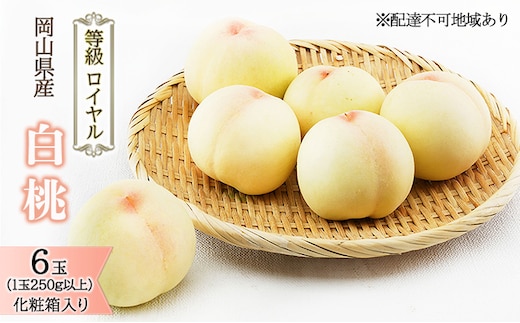 桃 2026年 先行予約 白桃 6玉 （1玉250g以上） 等級：ロイヤル 化粧箱入り もも モモ 岡山県産 国産 フルーツ 果物 ギフト 贈答品 糖度12.0度以上 