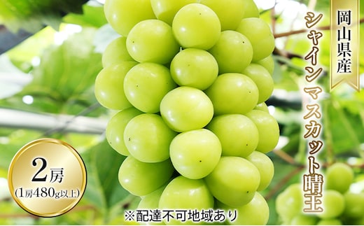 ぶどう 2026年 先行予約 シャイン マスカット 晴王 2房入り（1房 480g以上 ハウス栽培） ブドウ 葡萄 岡山県産 国産 フルーツ 果物 ギフト 岡山の葡萄 