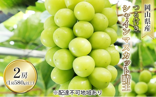 ぶどう 2026年 先行予約 つる付き シャイン マスカット 晴王 2房入り（1房 580g以上 ハウス栽培） ブドウ 葡萄 岡山県産 国産 フルーツ 果物 ギフト 岡山の葡萄 