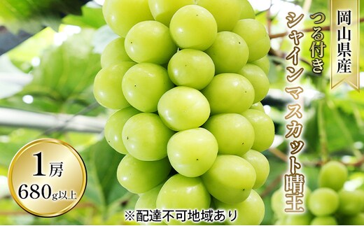 ぶどう 2026年 先行予約 つる付き シャイン マスカット 晴王 1房 680g以上（ハウス栽培） ブドウ 葡萄 岡山県産 国産 フルーツ 果物 ギフト 岡山の葡萄 