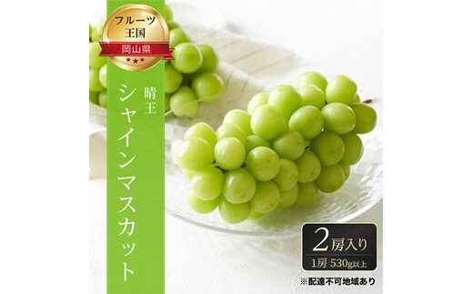 ぶどう 2026年 先行予約 ご家庭用 シャイン マスカット 晴王 優品 2房入り（1房 530g以上 露地栽培） ブドウ 葡萄 岡山県産 国産 フルーツ 果物 岡山の葡萄 