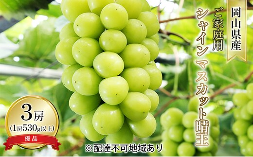 ぶどう 2026年 先行予約 ご家庭用 シャイン マスカット 晴王 優品 3房入り（1房 530g以上 露地栽培） ブドウ 葡萄 岡山県産 国産 フルーツ 果物 岡山の葡萄 