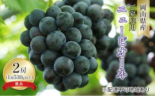 ぶどう 2026年 先行予約 ご家庭用 ニュー ピオーネ 優品 2房入り（1房 530g以上 露地栽培） ブドウ 葡萄 岡山県産 国産 フルーツ 果物 岡山の葡萄 
