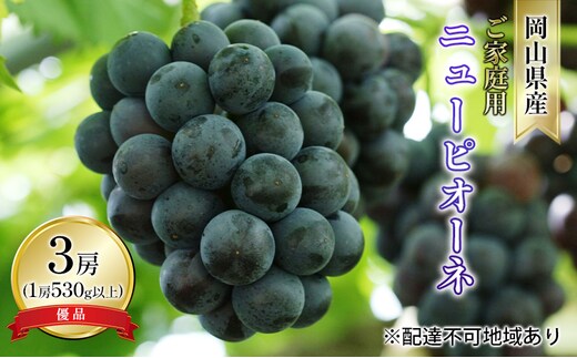 ぶどう 2026年 先行予約 ご家庭用 ニュー ピオーネ 優品 3房入り（1房 530g以上 露地栽培） ブドウ 葡萄 岡山県産 国産 フルーツ 果物 岡山の葡萄 