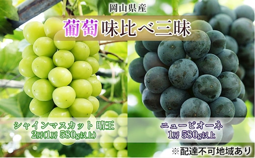 ぶどう 2026年 先行予約 葡萄 味比べ三昧 シャイン マスカット 晴王 2房（1房 580g以上）ニュー ピオーネ 1房 580g以上（露地栽培）詰合せ ブドウ 葡萄 岡山県産 国産 フルーツ 果物 ギフト 