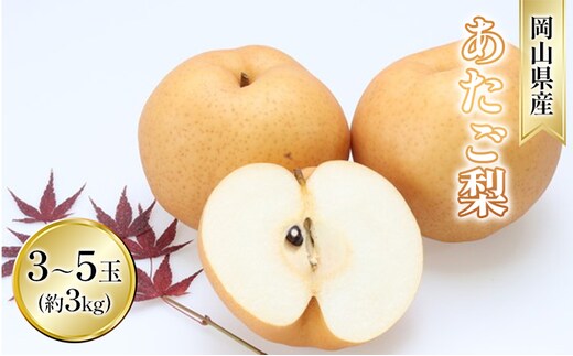 梨 2025年 先行予約 あたご梨 約3kg 3～5玉入り なし ナシ 岡山県産 国産 フルーツ 果物 ギフト 和梨 デザート 食後 日本一の大きさ 大玉 シャリシャリ 