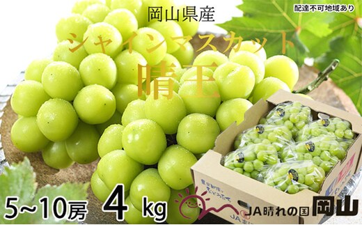 ぶどう 2026年 先行予約 シャイン マスカット 晴王 5房～10房 約4kg 8月下旬～11月下旬発送 ブドウ 葡萄 岡山県産 国産 フルーツ 果物 ギフト 岡山の葡萄 デザート 食後 