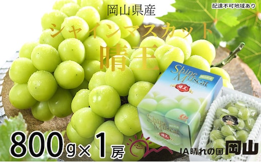 ぶどう 2026年 先行予約 シャイン マスカット 晴王 約800g×1房 8月下旬～11月下旬発送 ブドウ 葡萄 岡山県産 国産 フルーツ 果物 ギフト 岡山の葡萄 デザート 食後 