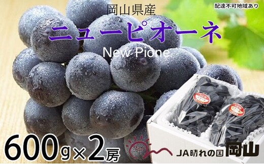 ぶどう 2026年 先行予約 ニュー ピオーネ 約600g×2房 8月下旬～10月上旬発送 ブドウ 葡萄 岡山県産 国産 フルーツ 果物 ギフト 岡山の葡萄 デザート 食後 