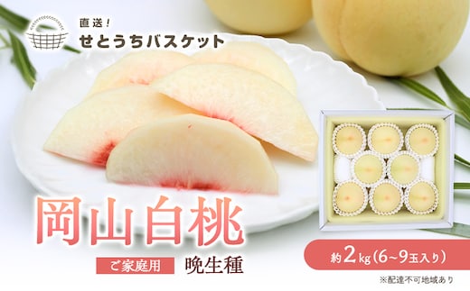 桃 2026年 先行予約 岡山 白桃（晩生種）ご家庭用 約2kg 6～9玉入り もも モモ 岡山県産 国産 フルーツ 果物 直送！せとうちバスケット 