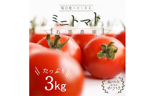 毎日食べたい石黒さんちの ミニトマト たっぷり 3kg 岡山県 瀬戸内市産 石黒農園【配達不可：離島】 野菜 緑黄色野菜 サラダ 付け合わせ 有機肥料 