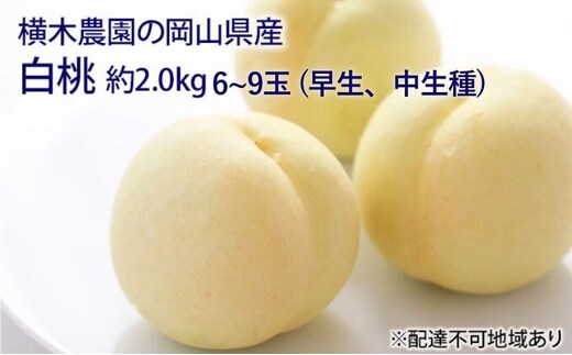 桃 2026年 先行予約 岡山の 白桃 （早生、中生種）約2.0kg 6～9玉 もも モモ 岡山県産 国産 フルーツ 果物 ギフト 横木農園 デザート 太陽 化粧箱 果肉 柔らかく果汁 厳選 美味しい 贈答品 