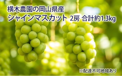 ぶどう 2026年 先行予約 シャイン マスカット 2房 合計約1.3kg 贈答用 ブドウ 葡萄 岡山県産 国産 フルーツ 果物 ギフト 横木農園 果物類 スイーツ 