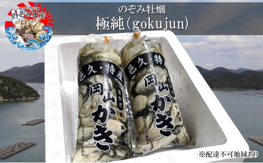 のぞみ 牡蠣 2026年先行予約 ［極純] 剥き身 （ 一年牡蠣 ）500g×2パック 簡単レシピ 付き 魚貝類 海の幸 海のミルク 海鮮 貝 濃厚 産地直送 取れたて 新鮮 食材 剥き牡蠣 