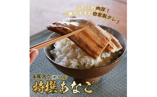 穴子 焼き穴子 4尾入 300g 蒲焼き 小分け 真空パック 厳選 特選 不揃い 小ぶり 魚貝類 魚介類 おかず 和食 魚料理 青島 冷蔵 冷蔵配送 岡山 岡山県 瀬戸内市