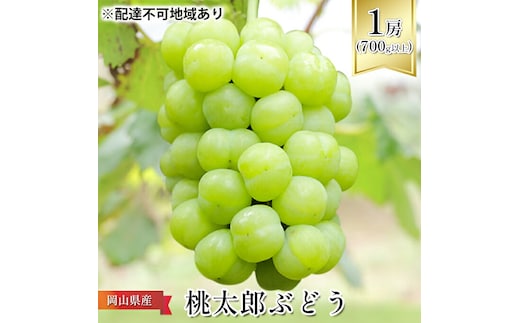 ぶどう 2026年 先行予約 桃太郎 ぶどう 1房（700g以上） ブドウ 葡萄 岡山県産 国産 フルーツ 果物 ギフト 化粧箱 贈答品
