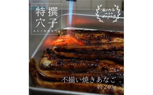 穴子 焼き穴子 240g 蒲焼き 小分け 真空パック 厳選 特選 不揃い 小ぶり 魚貝類 魚介類 おかず 和食 魚料理 青島 冷蔵 冷蔵配送 岡山 岡山県 瀬戸内市