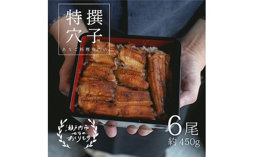 穴子 焼き穴子 6尾入 450g 蒲焼き 小分け 真空パック 厳選 特選 不揃い 小ぶり 魚貝類 魚介類 おかず 和食 魚料理 青島 冷蔵 冷蔵配送 岡山 岡山県 瀬戸内市