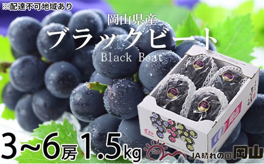 ぶどう 2026年 先行予約 ブラックビート 約1.5kg 3～6房 ブドウ 葡萄 岡山県産 国産 フルーツ 果物 ギフト 岡山のぶどう 岡山の果物 デザート 食後 種無し 大粒 甘味 酸味 バランス 