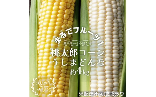 ［2026年先行予約］牛窓産とうもろこし まるでフルーツ！生で甘い、茹でて美味い！「桃太郎コーン」と「うしまどんな」のセット 約4kg 8～12本入り 産地直送 食べ比べ 