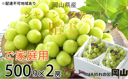 ぶどう 2026年 先行予約 ご家庭用 シャイン マスカット 晴王 約500g×2房 ブドウ 葡萄 岡山県産 国産 フルーツ 果物 岡山のぶどう 旬のフルーツ 旬の果物 大粒 種無し 