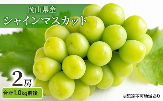 ぶどう 2025年 先行予約 シャインマスカット 晴王 2房 合計1.0kg前後 マスカット ブドウ 葡萄 岡山県産 国産 フルーツ 果物 ギフト