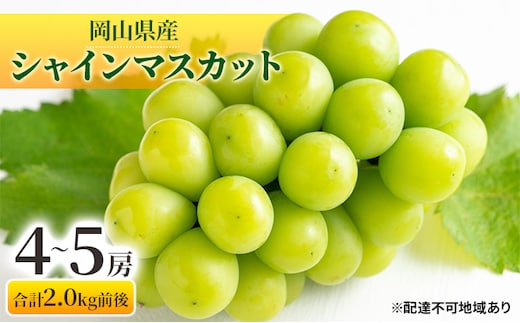 ぶどう 2025年 先行予約 シャインマスカット 晴王 4～5房 合計2.0kg前後 マスカット ブドウ 葡萄 岡山県産 国産 フルーツ 果物 ギフト 果物類 