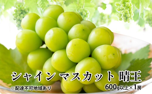 ぶどう 2026年 先行予約 シャイン マスカット 晴王 600g以上×1房 種無し ブドウ 葡萄 岡山県産 国産 フルーツ 果物 ギフト デザート 果実 美しい 大粒 高糖度 皮ごと パリッ 弾力 食感 食べやすい 人気 