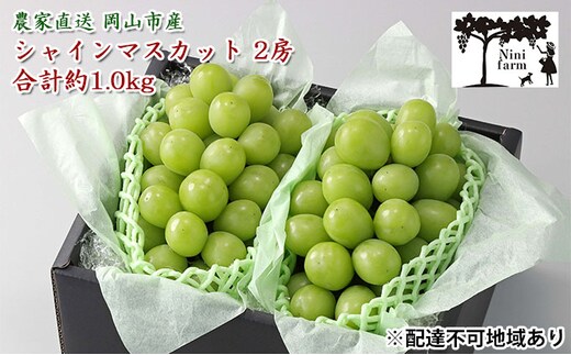 ぶどう 2026年 先行予約 【平均糖度20度】 農家こだわりの シャイン マスカット 2房 合計約1.0kg 贈答クラス ブドウ 葡萄 岡山県産 国産 フルーツ 果物 ギフト 【 Nini farm 農家 直送 】 