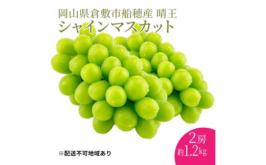 ぶどう 2026年 先行予約 【プレミアムシャインマスカット 晴王 2房 合計約1.2kg】船穂産 赤秀品以上 岡山県産 葡萄 ブドウ ギフト ハレノフルーツ 皮ごと食べる みずみずしい 
