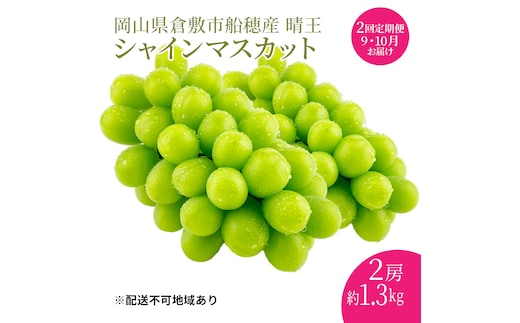 ぶどう 2026年 先行予約 【プレミアムシャインマスカット 晴王 2房 合計約1.3kg 定期便 2回】船穂産 赤秀品以上 岡山県産 葡萄 ブドウ ギフト ハレノフルーツ 皮ごと食べる みずみずしい 