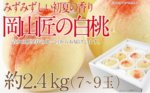 もも 2026年 先行予約 岡山匠の白桃 約2.4kg 7～9玉 犬塚農園 岡山県産 桃 モモ ギフト 初夏 みずみずしい 