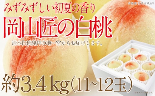もも 2026年 先行予約 岡山匠の白桃 約3.4kg 11～12玉 犬塚農園 岡山県産 桃 モモ ギフト 初夏 みずみずしい 