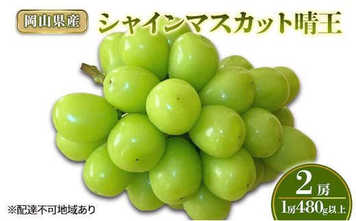 ぶどう 2026年 先行予約 シャインマスカット晴王2房(1房480g以上) 化粧箱入り ブドウ 葡萄 岡山県産 国産 フルーツ 果物 ギフト 