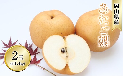 梨 2025年 先行予約 あたご梨 2玉 青秀以上 (約1.4kg) 化粧箱入り