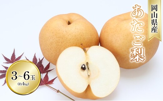 梨 2025年 先行予約 あたご梨 3-6玉 青秀以上 (約4kg) 化粧箱入り