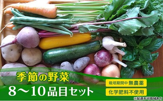 季節の野菜 8～10品目 セット 栽培期間中 無農薬 化学肥料不使用 旬 野菜 岡山