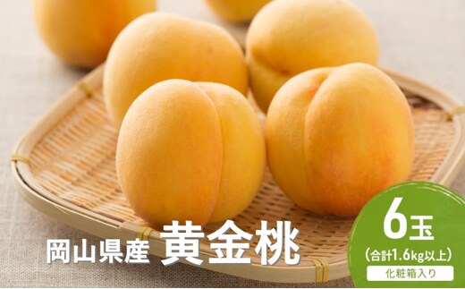 桃 2026年 先行予約 黄金桃 6玉(1.6kg以上) 化粧箱入り もも モモ 岡山県産 国産 フルーツ 果物 セット ギフト