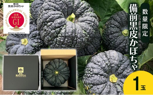 【数量限定】備前黒皮かぼちゃ (１玉) 株式会社大町 岡山県 瀬戸内市 かぼちゃ 野菜 スイーツ 手軽 料理