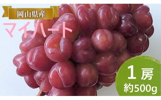 ぶどう 【2026年 早期受付】 マイハート 1房 約500g ブドウ 葡萄 岡山県産 国産 フルーツ 果物 ギフト