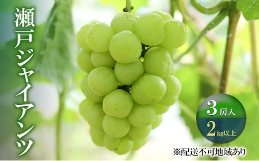 ぶどう 【2026年 先行予約】 瀬戸ジャイアンツ 3房(合計2kg以上) ブドウ 葡萄 岡山県産 国産 フルーツ 果物 ギフト 河本農園