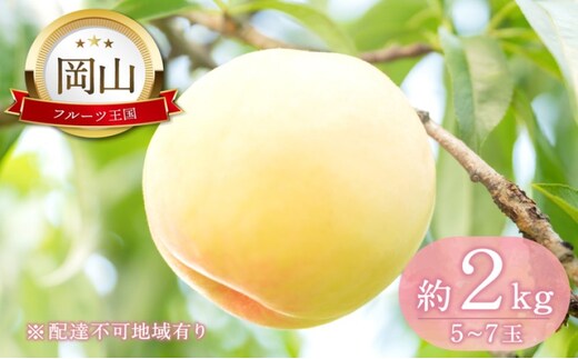 桃 【2026年 先行予約】 晴れの国 おかやま の 白桃 2kg(5玉～7玉) もも モモ 岡山県産 国産 フルーツ 果物 ギフト
