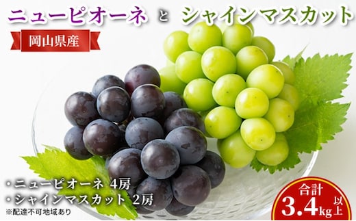 ぶどう 【2026年 先行予約】 ニュー ピオーネ 4房と シャインマスカット 2房(合計3.4kg以上) マスカット ブドウ 葡萄 岡山県産 国産 フルーツ 果物 ギフト
