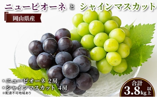 ぶどう 【2026年 先行予約】 ニュー ピオーネ 2房と シャインマスカット 4房(合計3.8kg以上) マスカット ブドウ 葡萄 岡山県産 国産 フルーツ 果物 ギフト