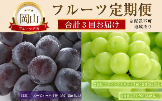 ぶどう 【2026年 先行予約】 晴れの国 おかやま の フルーツ 定期便 葡萄 ニュー ピオーネ シャインマスカット 岡山県産 国産 セット ギフト