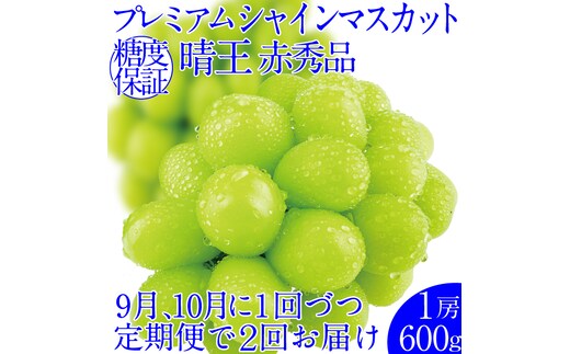 2026年先行予約【2回定期便】 プレミアムシャインマスカット晴王1房約600g 人気 岡山県産 赤秀品 種無し 皮ごと食べる みずみずしい9月10月お届け ハレノフルーツ