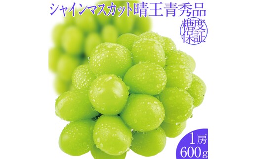 2026年予約受付中 シャインマスカット晴王1房 約600g 7月～8月出荷 人気 岡山県産 種無し 皮ごと食べる みずみずしい フレッシュ 晴れの国 おかやま 果物大国 ハレノフルーツ