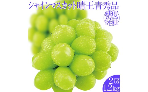 2026年予約受付中 シャインマスカット晴王2房 約1.2kg 7月～8月出荷 人気 岡山県産 種無し 皮ごと食べる みずみずしい フレッシュ 晴れの国 おかやま 果物大国 ハレノフルーツ
