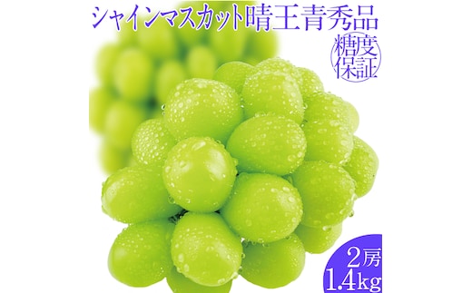 2026年予約受付中 シャインマスカット晴王2房 約1.4kg 7月～8月出荷 人気 岡山県産 種無し 皮ごと食べる みずみずしい フレッシュ 晴れの国 おかやま 果物大国 ハレノフルーツ