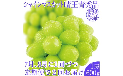 2026年先行予約【2回定期便】 シャインマスカット晴王1房 約600g 7月8月に出荷 人気 岡山県産 種無し 皮ごと食べる みずみずしい フレッシュ 晴れの国 おかやま 果物大国 ハレノフルーツ